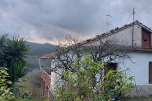 Casolare nel cilento con 10000m2 di terreno