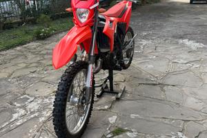 Beta rr 50