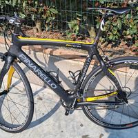 Bici da corsa Pinarello