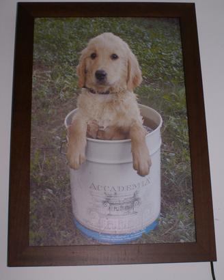 Thermoquadro leonardo