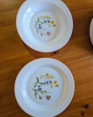 Servizio piatti Arcopal France vintage decorati