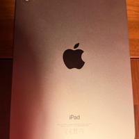 Ipad mini 6 64gb rosa