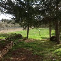 Vendita terreno con fabbricato