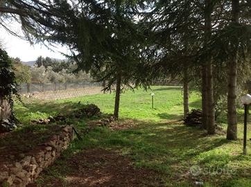 Vendita terreno con fabbricato