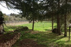 Vendita terreno con fabbricato