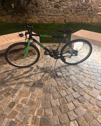Bicicletta