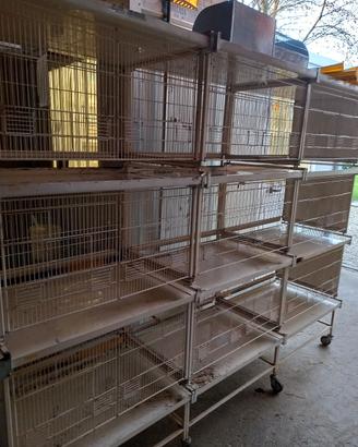 voliera per uccelli 400 €