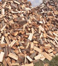 Legna secca di bosco