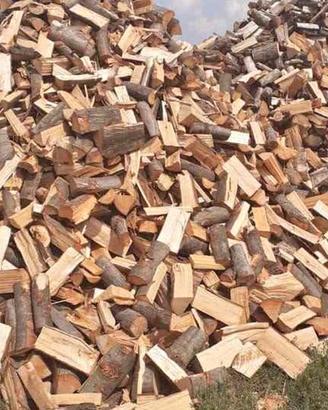 Legna secca di bosco