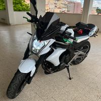 Kawasaki ER6N