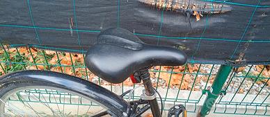 bici donna