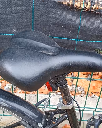 bici donna