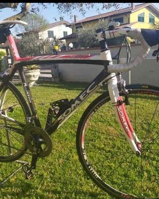 Bici da corsa in carbonio Maestro perfetta