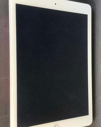 iPad 32GB