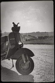 Vespa PX 150 - Anno 1982 funzionante