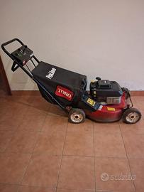 Tagliaerba motorizzato