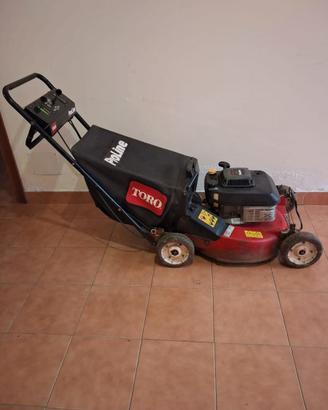 Tagliaerba motorizzato