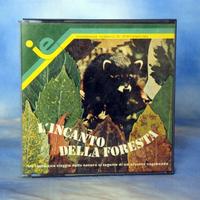 L'incanto della foresta