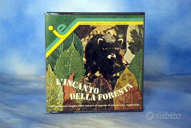 L'incanto della foresta