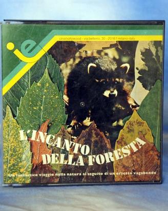 L'incanto della foresta