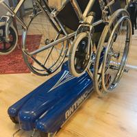 Montascale a cingoli Antano LG2004 per disabili e 