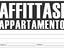 Immagine 13