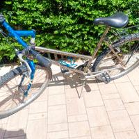 Mountan bike donna alluminio