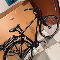 Bici elettrica da trekking nuova professionale