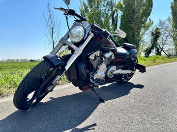 Harley Davidson VRod muscle 1250