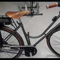 bici elettrica pedalata assistita 