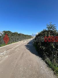 Capannone Industriale Battipaglia