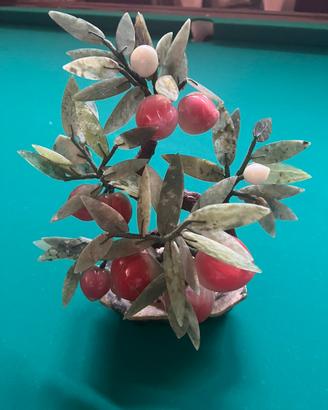 Bonsai di giada
