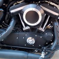 Sportster scatola filtro Puig