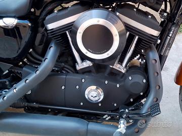 Sportster scatola filtro Puig