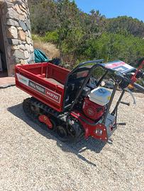 motocarriola professionale+ pedane 