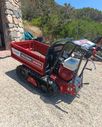 motocarriola professionale+ pedane 