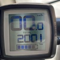 Samedi 27 RACE 8 TRATTABILE