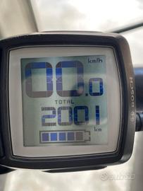 Samedi 27 RACE 8 TRATTABILE