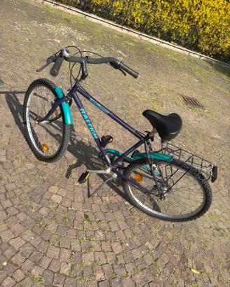 Bicicletta da uomo