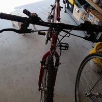 Mtb nuova di fabbrica km.0