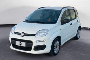 FIAT Panda 1.3 mjt 16v Easy 75cv
