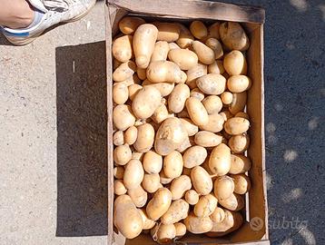 patate non trattate