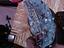 Immagine 5
