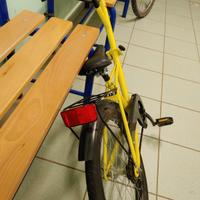 cammellino per bicicletta