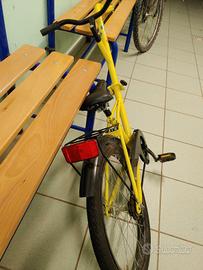 cammellino per bicicletta