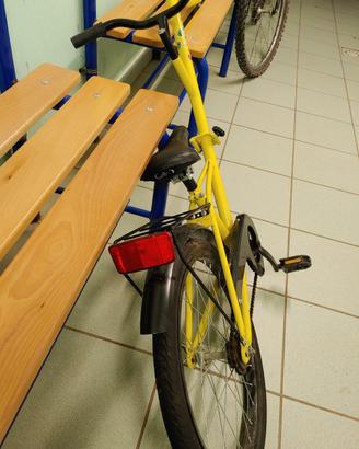 cammellino per bicicletta