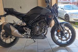 Honda CBR 300 - 2024