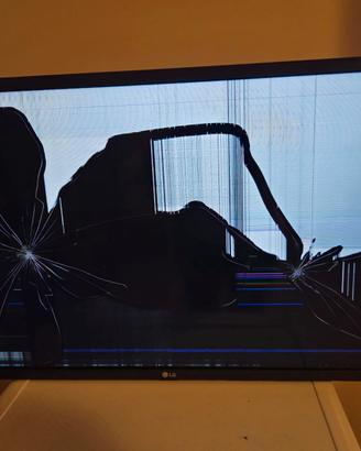 Lg Smart TV 32" pezzi di ricambio 