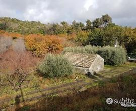 Terreno 5 ettari con fabbricato Piedimonte Etneo