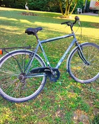 biciclette varie